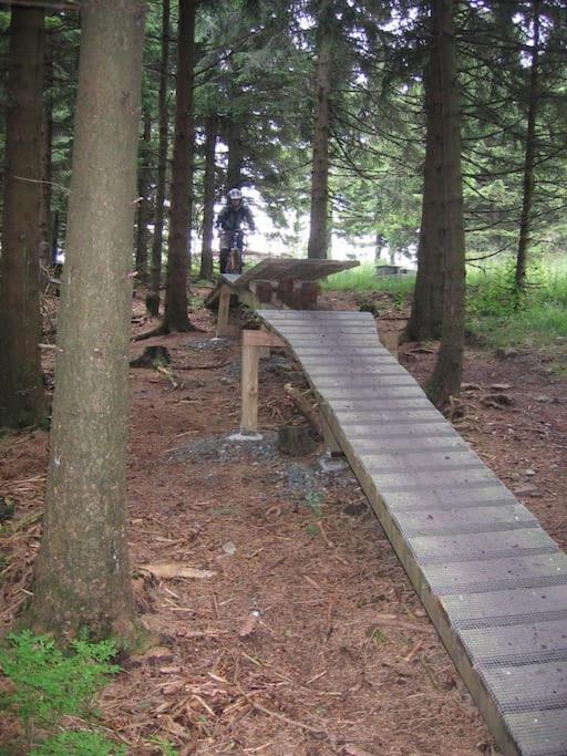 Heimaturlaub Waldoase Lägenhet Goslar Exteriör bild